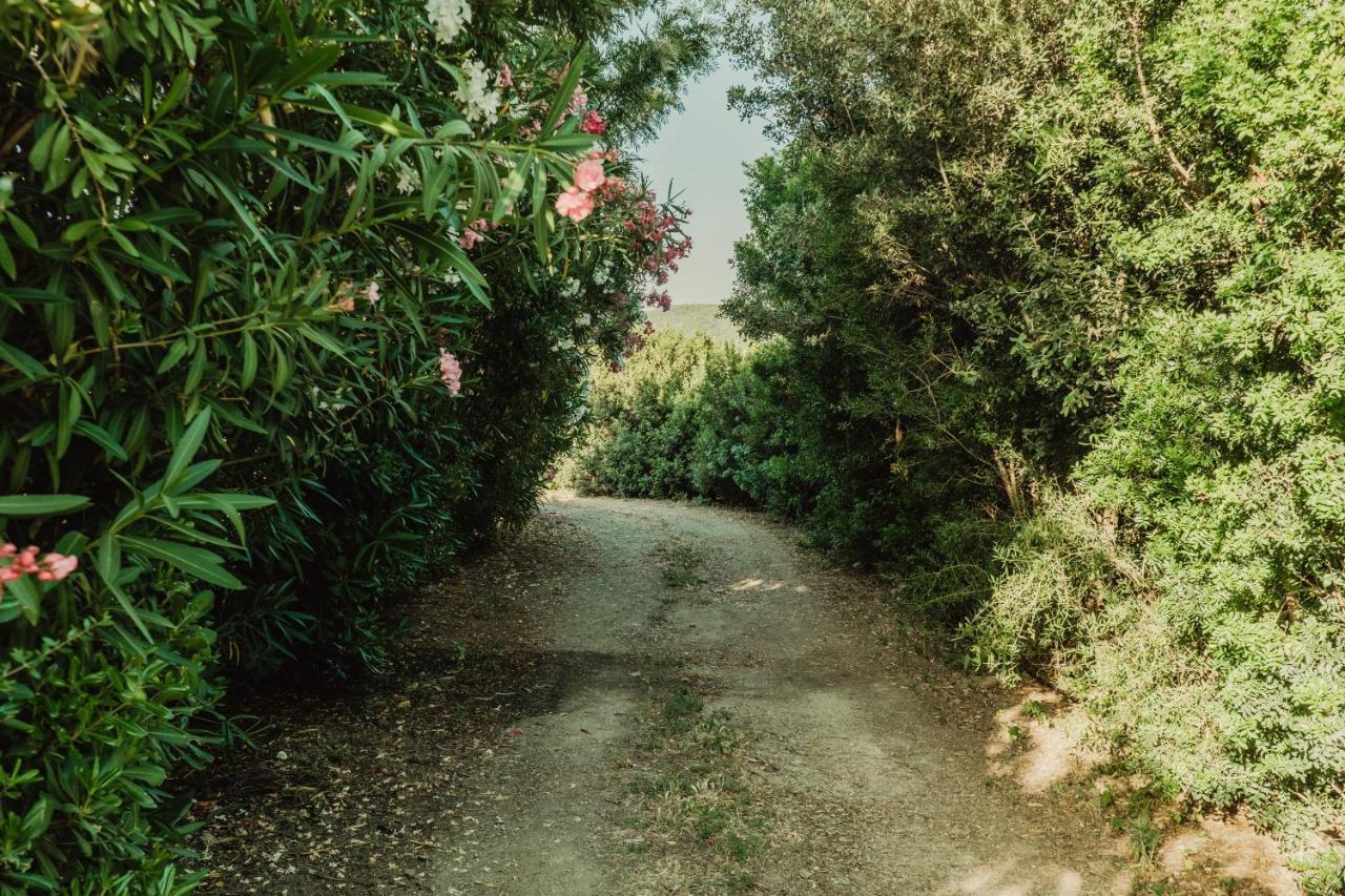 Il Casale Βίλα Teulada Εξωτερικό φωτογραφία