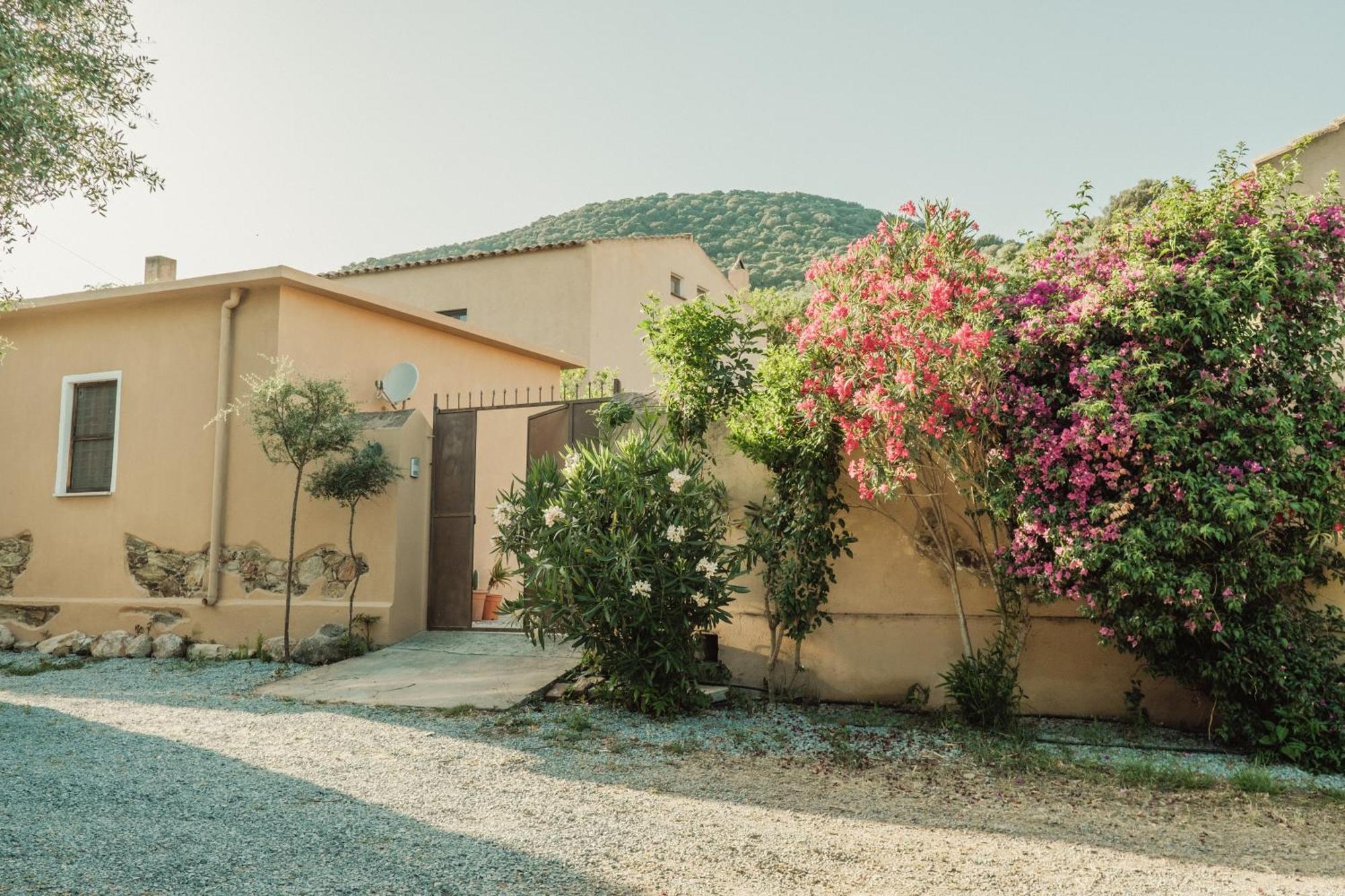 Il Casale Βίλα Teulada Εξωτερικό φωτογραφία